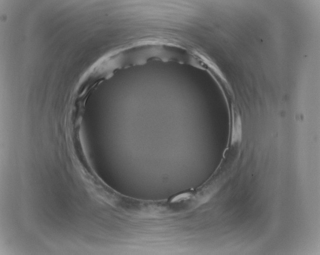 X0000081390387200701252110