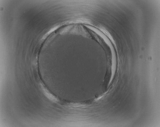 X0000081390389200701252109