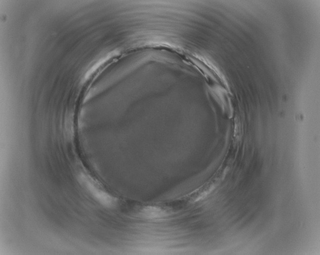 X0000081390390200701252109