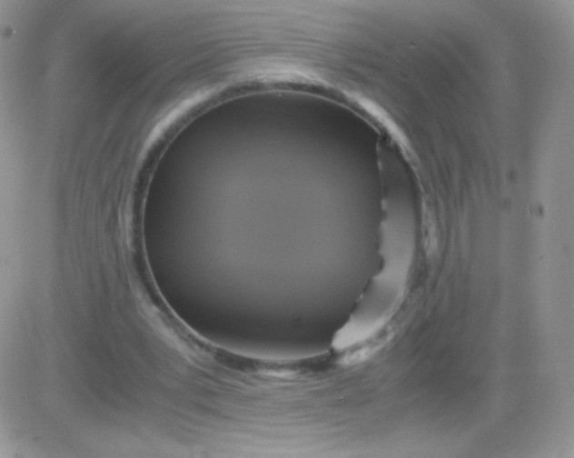 X0000081390391200701252109