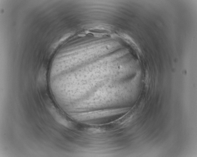 X0000081390394200701252109