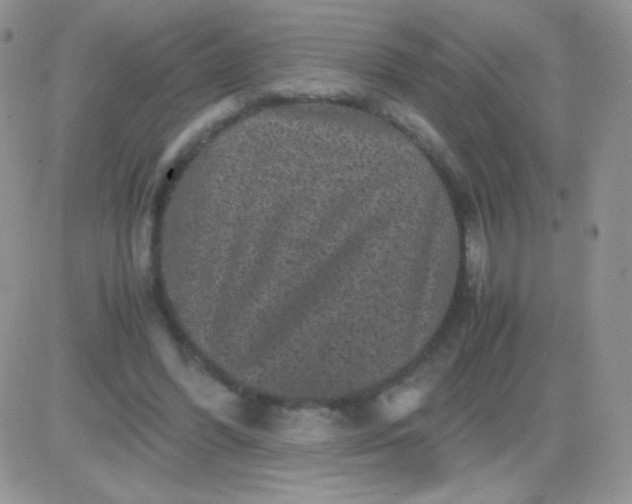 X0000081390396200701252109