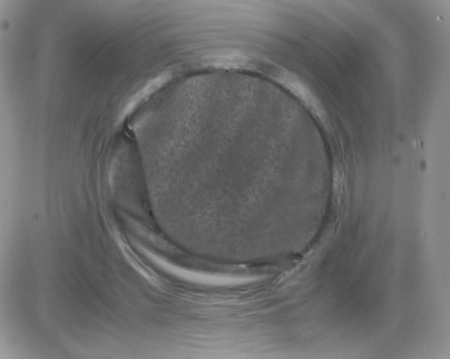 X0000081390397200701252109