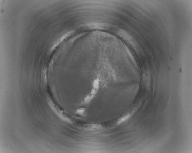 X0000081390398200701252109