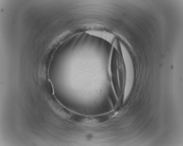 X0000081390403200701252109