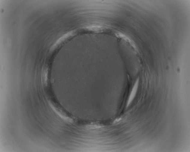 X0000081390404200701252109