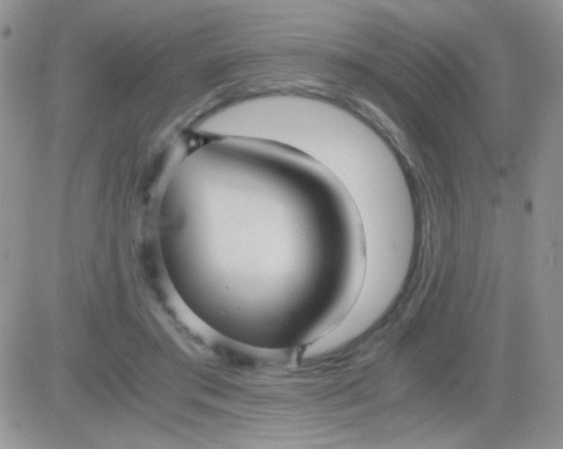 X0000081390405200701252109