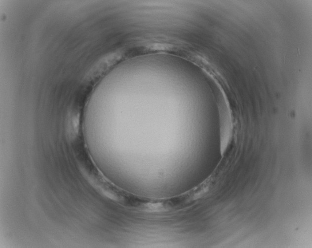 X0000081390406200701252109