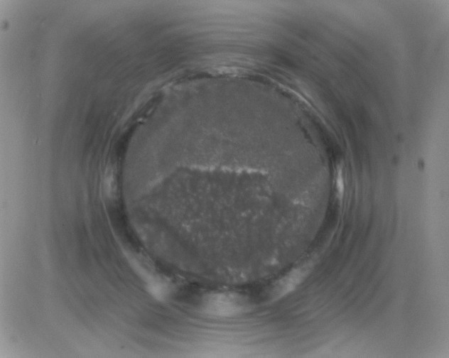 X0000081390408200701252109