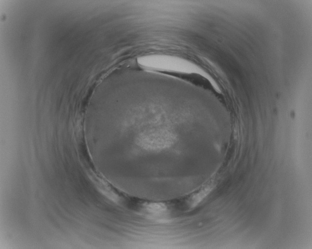 X0000081390409200701252109