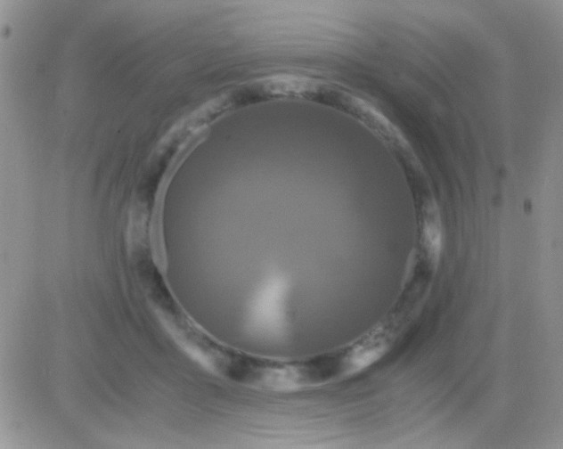 X0000081390411200701252109