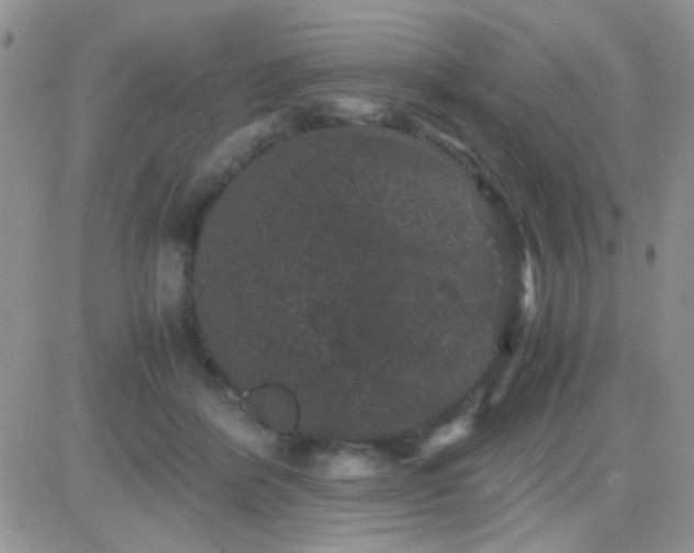 X0000081390412200701252109