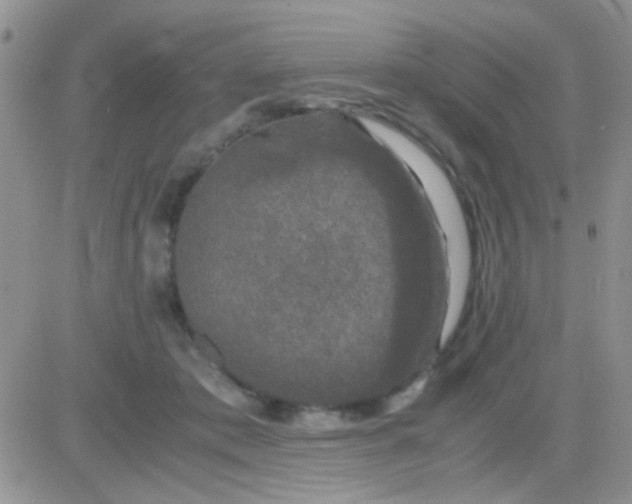 X0000081390413200701252109