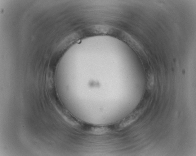 X0000081390414200701252109