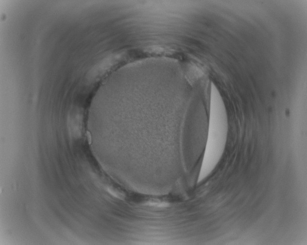 X0000081390416200701252109