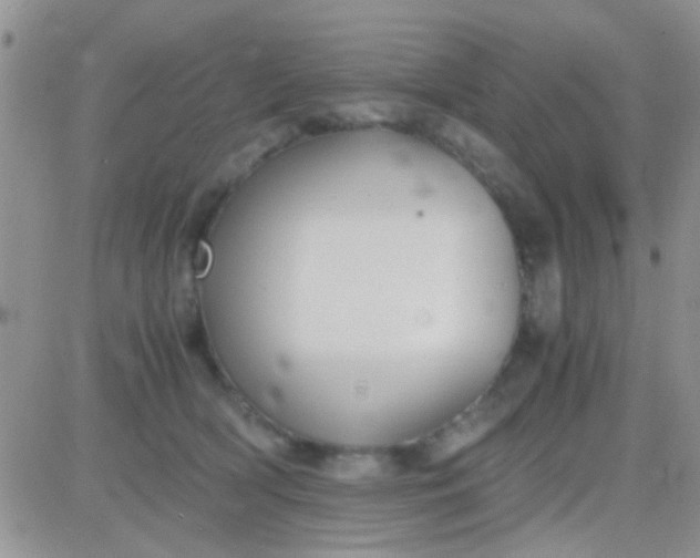 X0000081390418200701252109