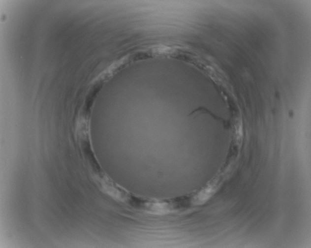 X0000081390419200701252109