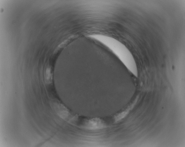 X0000081390420200701252109