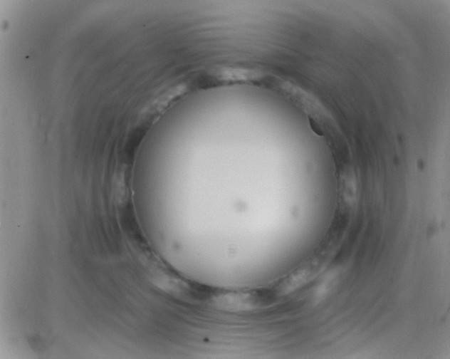 X0000081390422200701252109