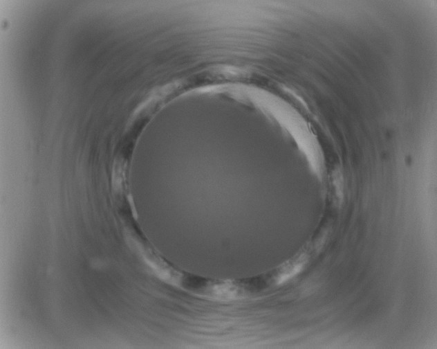 X0000081390423200701252109