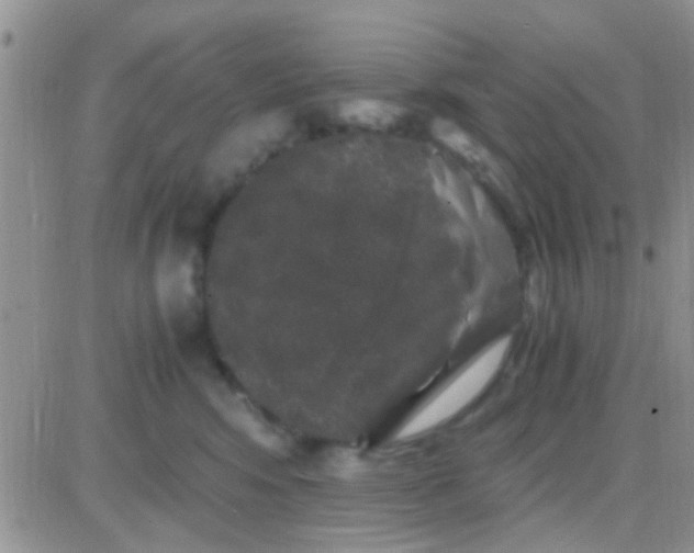 X0000081390424200701252109