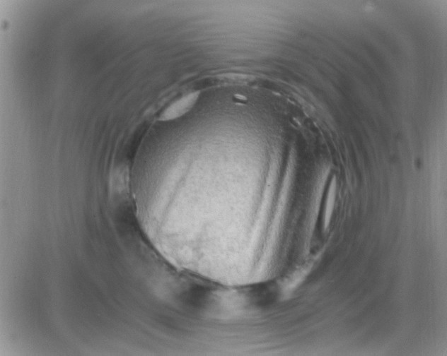 X0000081390425200701252109