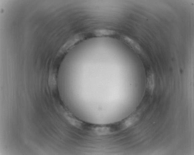 X0000081390426200701252109