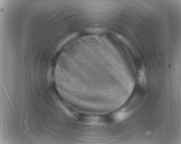 X0000081390428200701252109