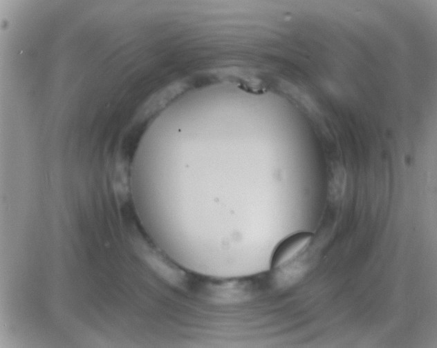 X0000081390430200701252109