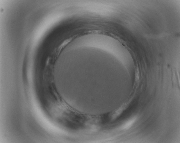 X0000081390431200701252109