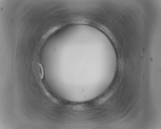 X0000081390433200701252108