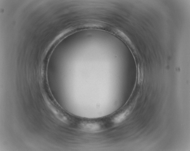 X0000081390435200701252108