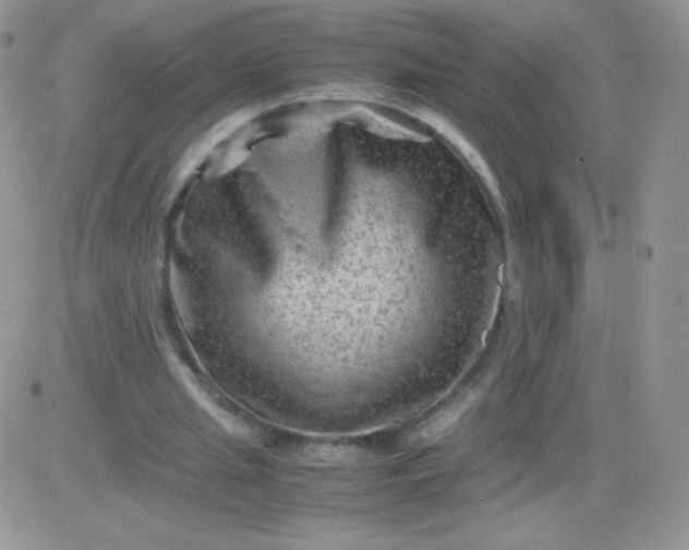 X0000081390437200701252108