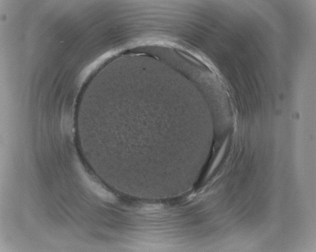 X0000081390438200701252108