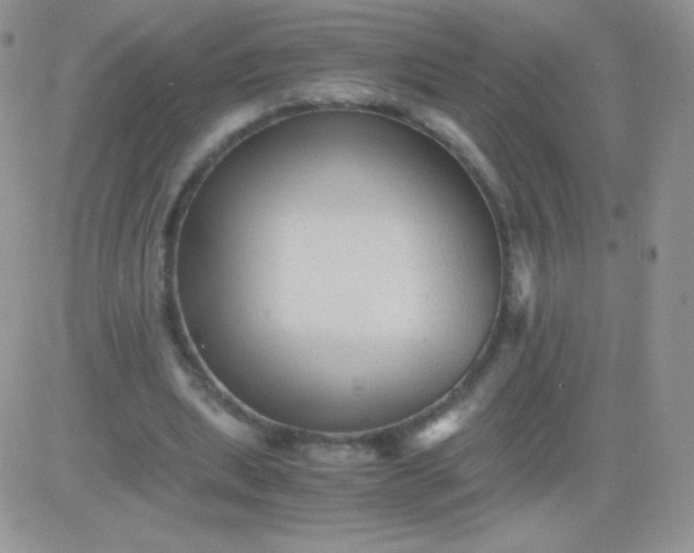 X0000081390439200701252108