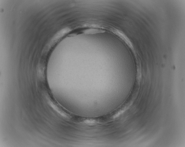 X0000081390441200701252108