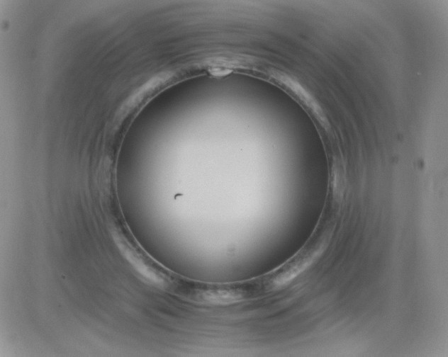 X0000081390445200701252108