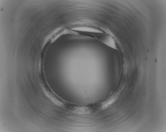 X0000081390446200701252108