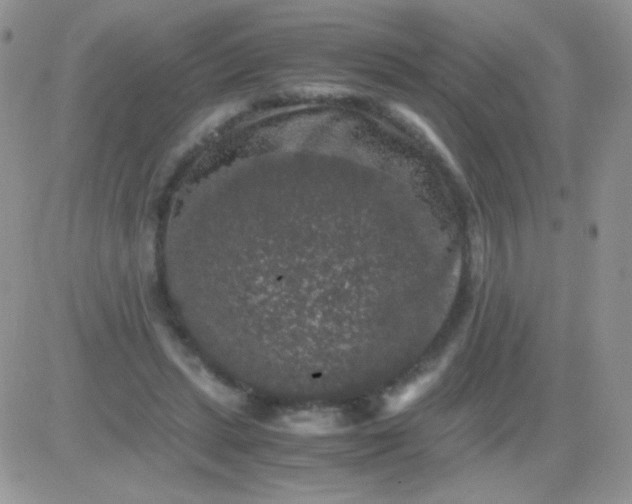 X0000081390447200701252108