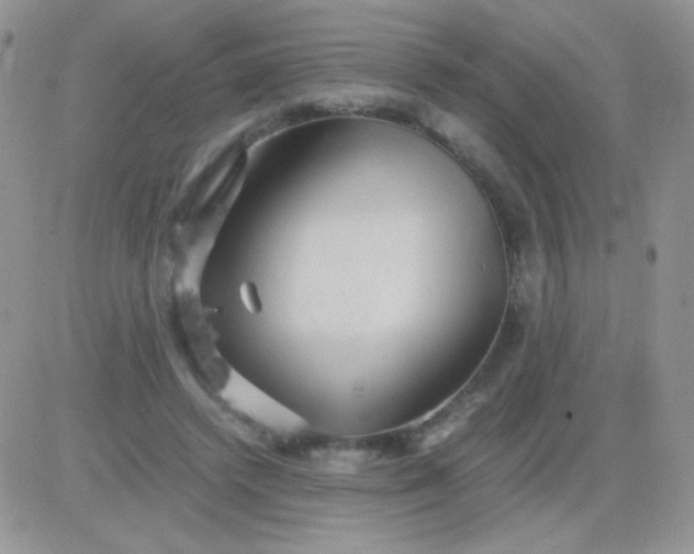 X0000081390448200701252108