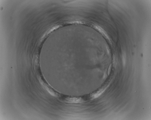 X0000081390449200701252108