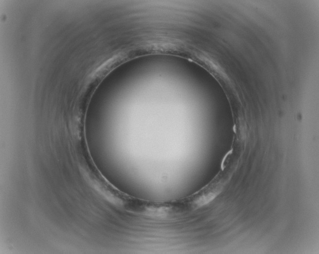 X0000081390450200701252108