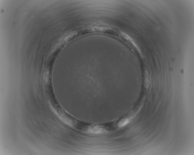 X0000081390451200701252108