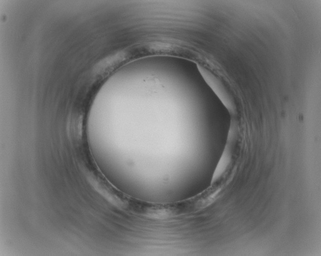 X0000081390454200701252108