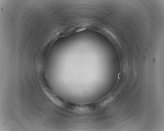 X0000081390455200701252108