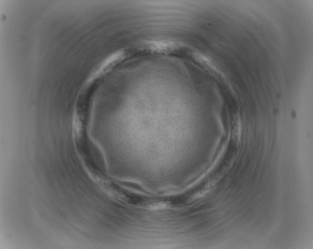 X0000081390456200701252108