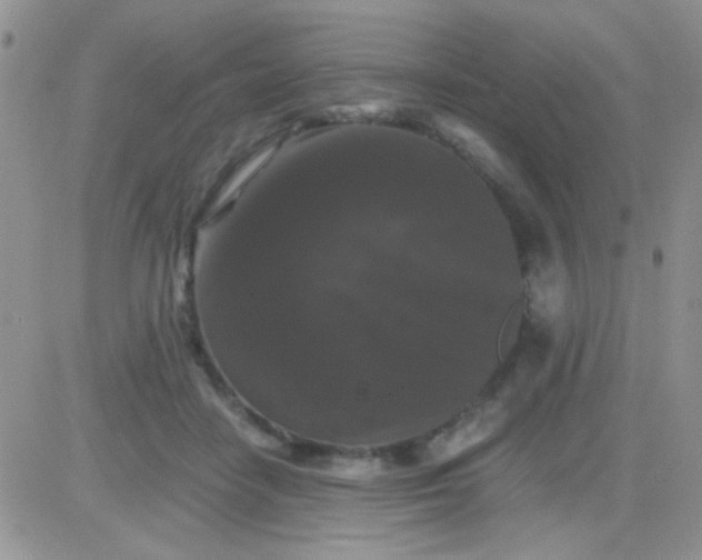 X0000081390458200701252108