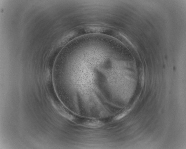 X0000081390459200701252108