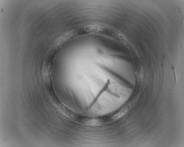 X0000081390460200701252108