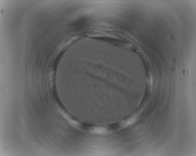 X0000081390462200701252108